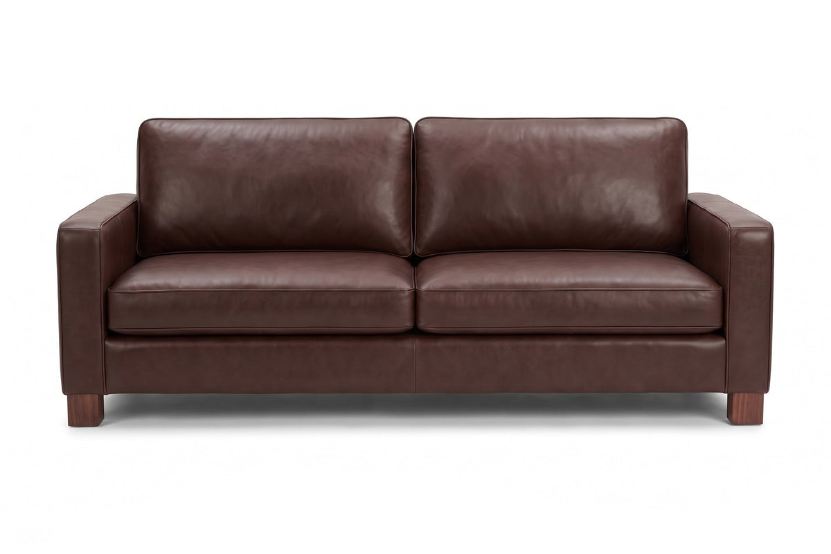 Chamonix Leather Sleeper Sofa in Chocolate, front view on white