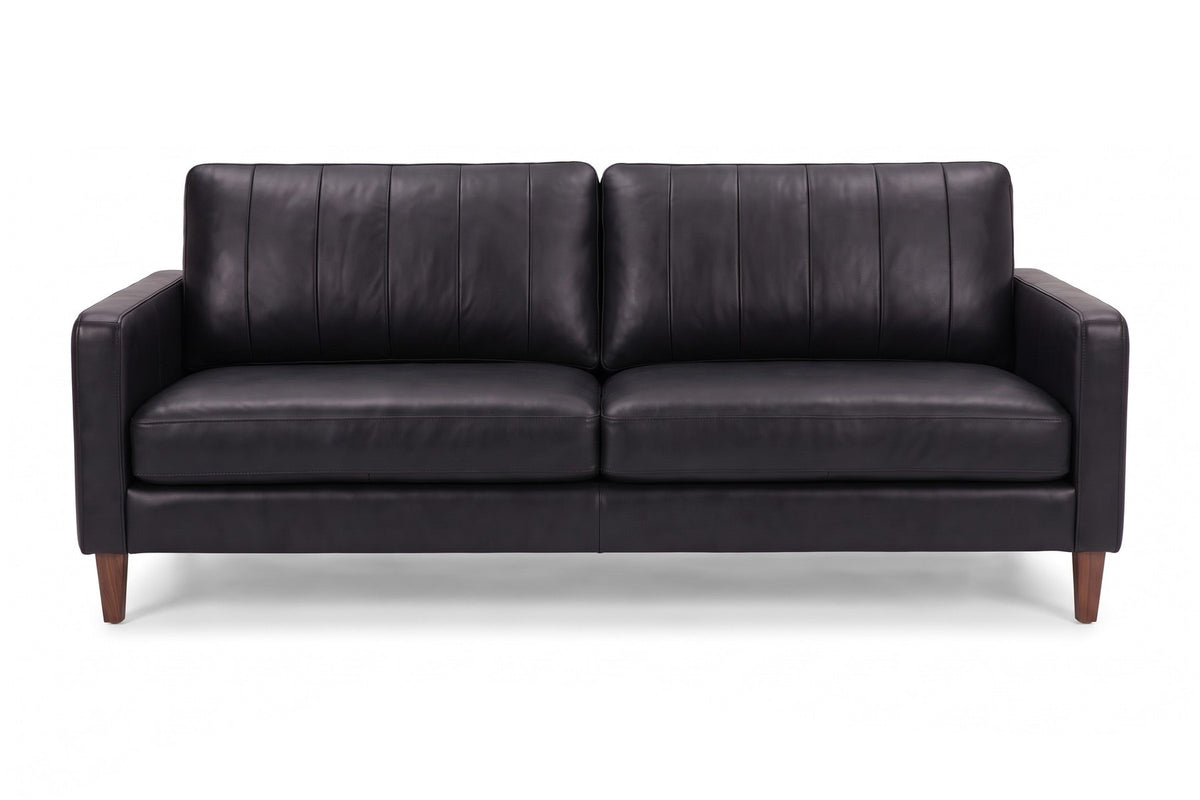Colmar Leather Sofa in Black, front view on white