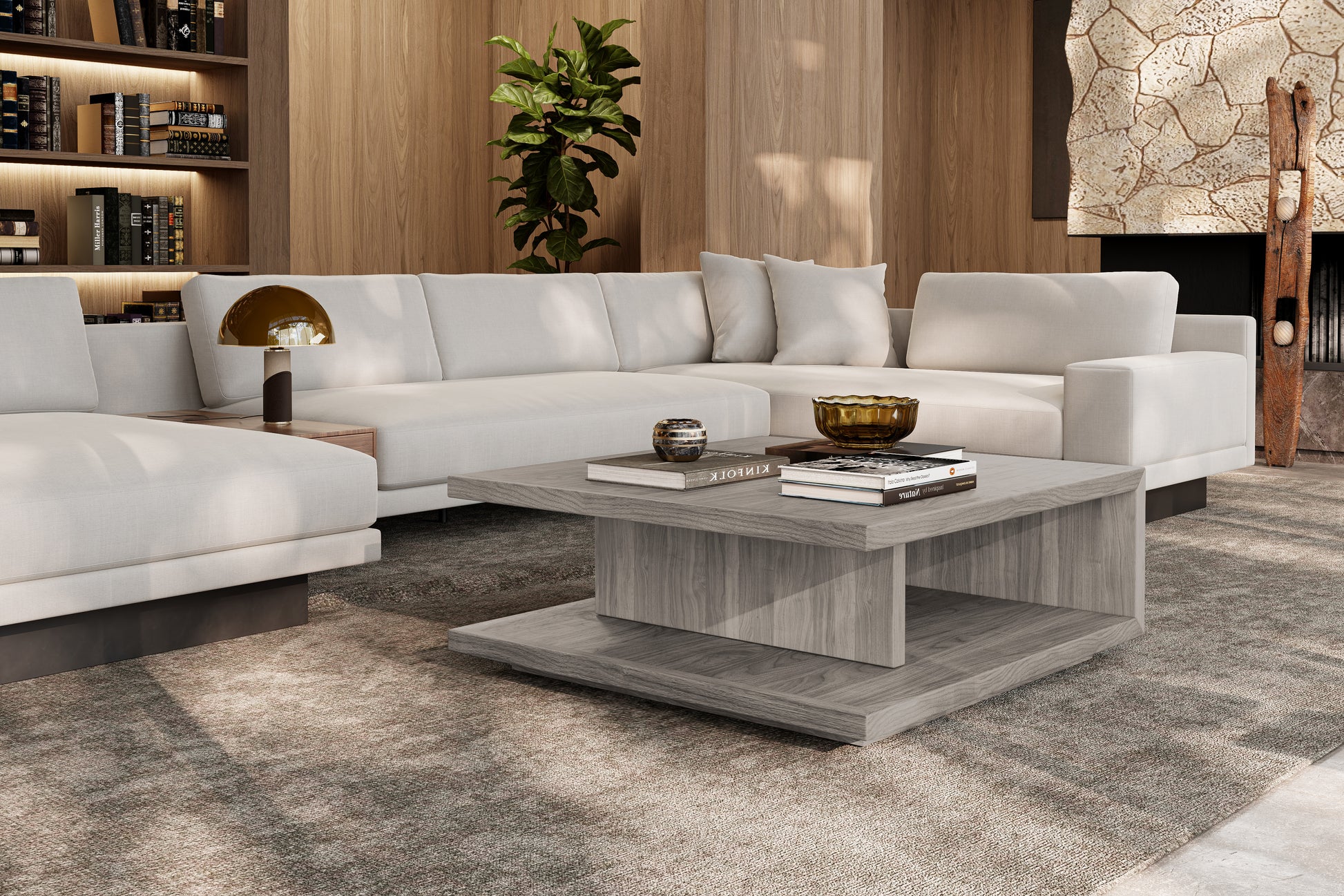 Muri solid and veneered wood Coffee Table & Storage Design