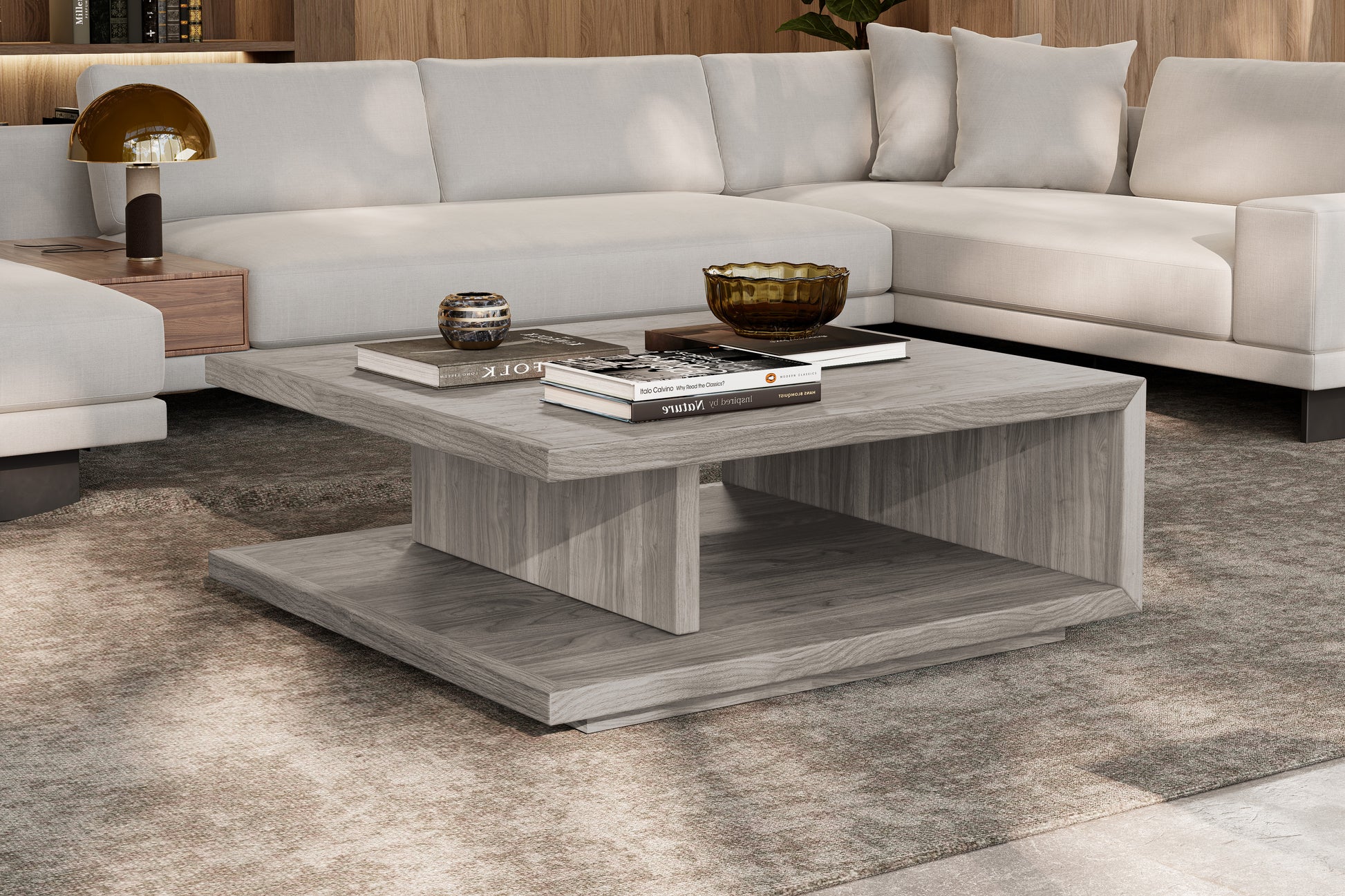 Muri solid and veneered wood Coffee Table & Storage Design