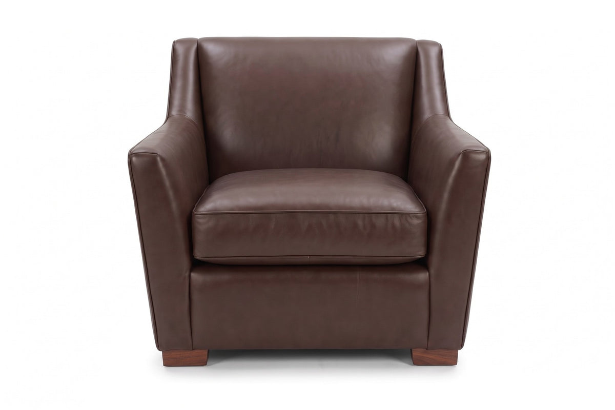 Vence Leather Lounge Chair in Chocolate, front view on white